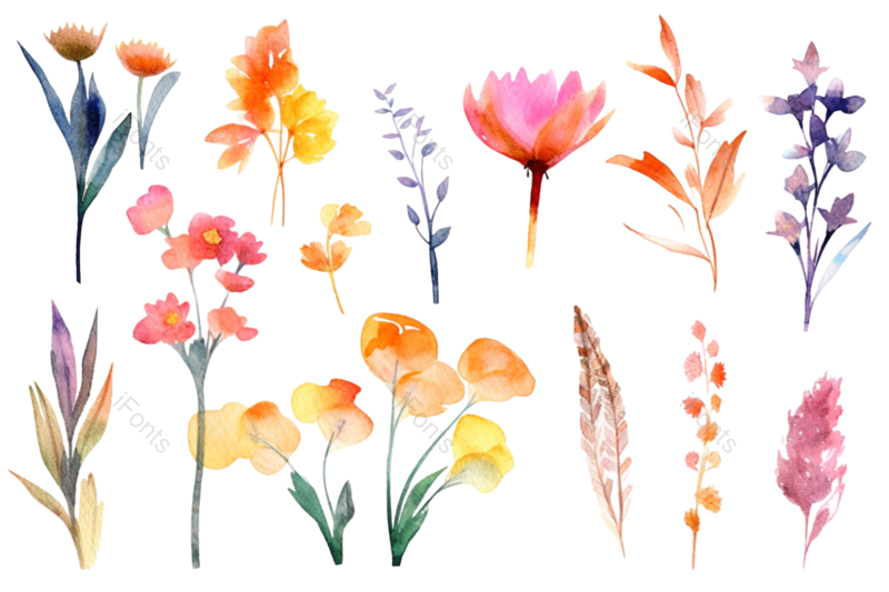 鲜花背景图片,鲜花边框元素,PNG,免抠素材